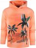 Scotch and Soda Truien Relaxed Embroidery Washed Felpa Hoodie Bruin online kopen